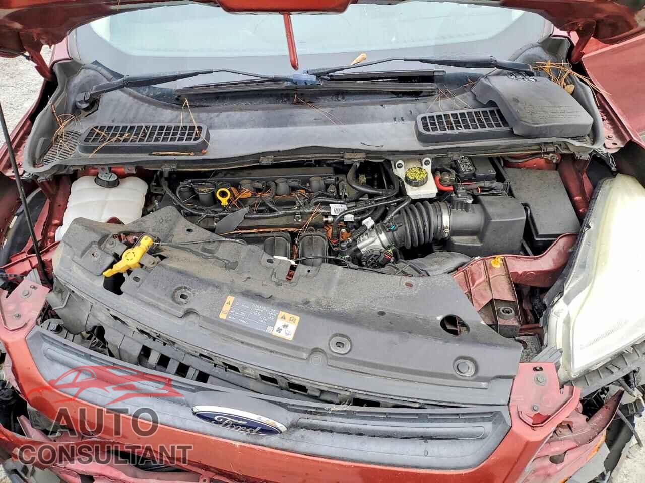 FORD ESCAPE 2014 - 1FMCU0F73EUB63968