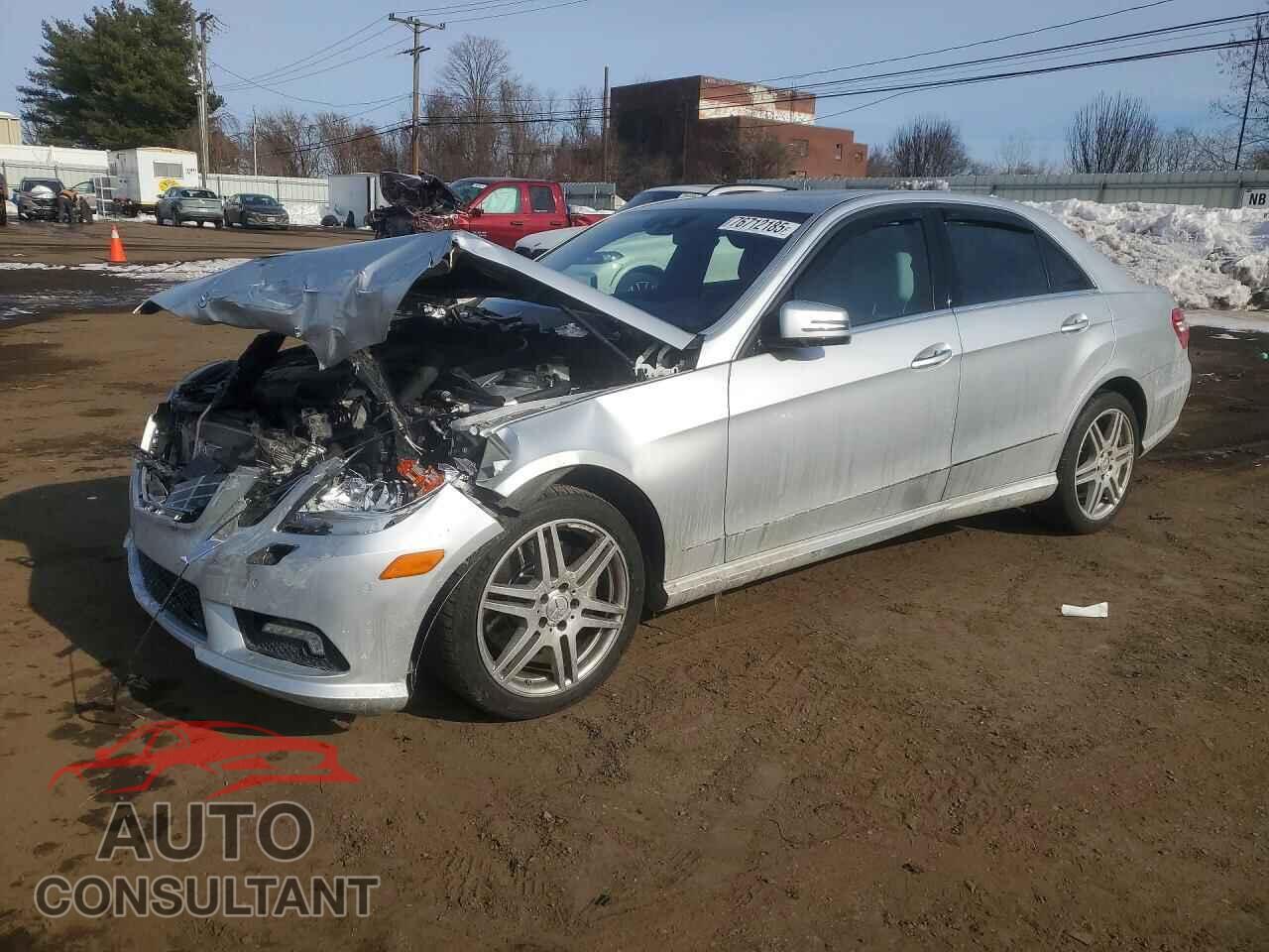 MERCEDES-BENZ E-CLASS 2010 - WDDHF9ABXAA194561