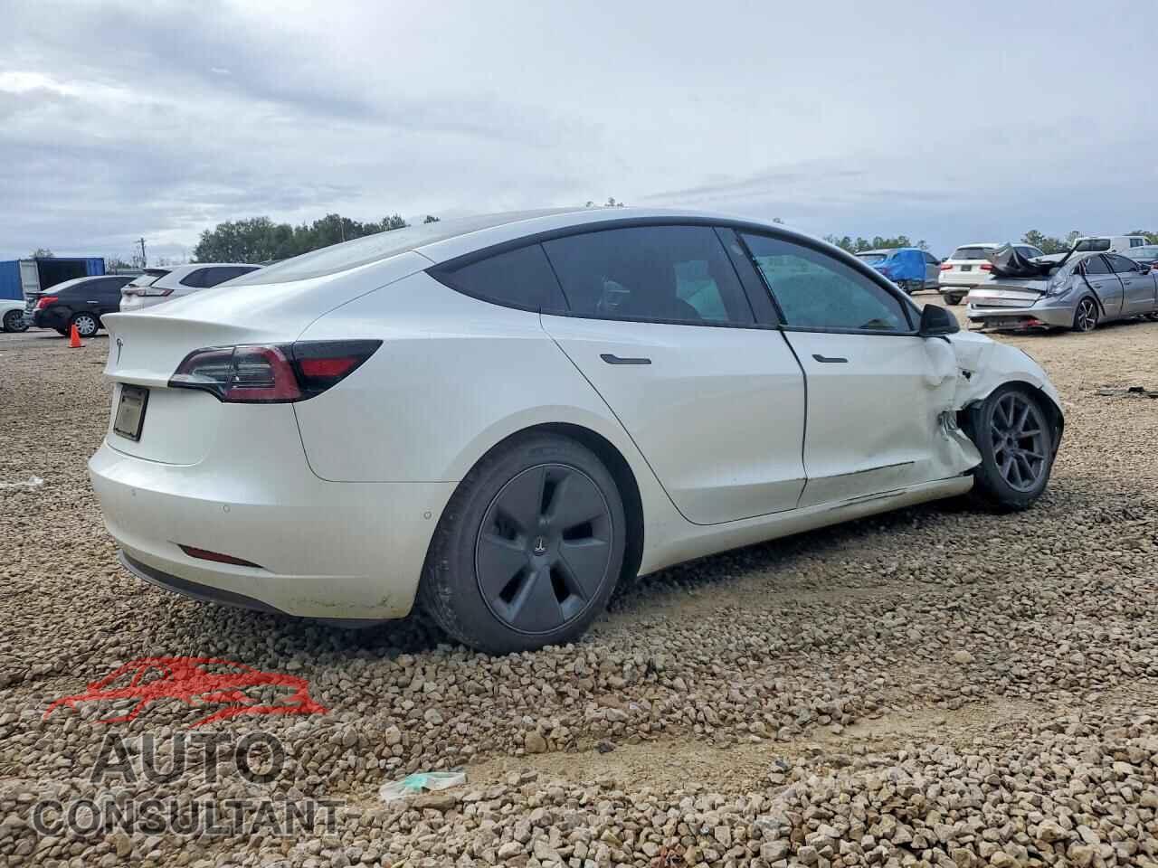 TESLA MODEL 3 2021 - 5YJ3E1EA7MF859860