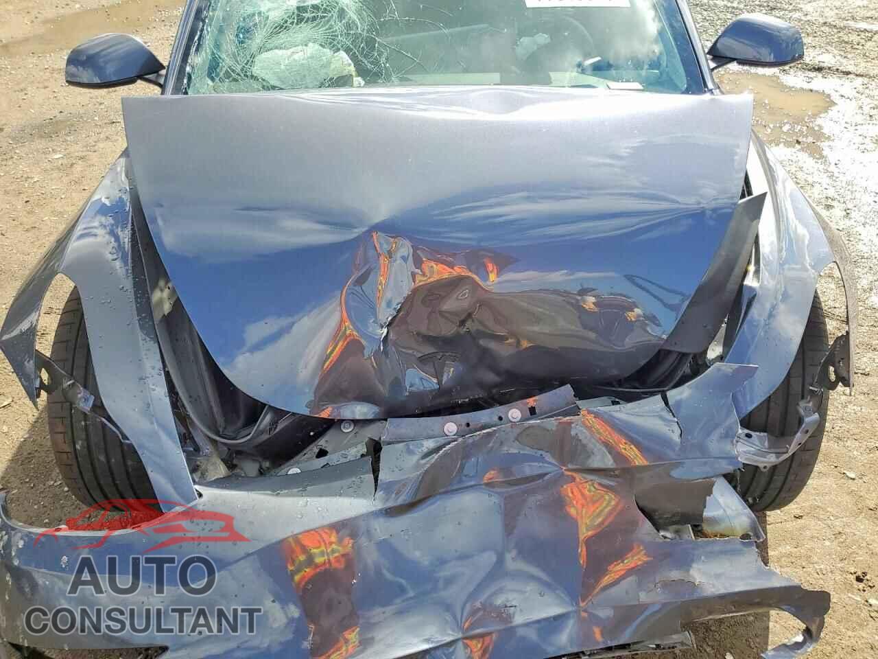 TESLA MODEL 3 2023 - 5YJ3E1EC7PF596307
