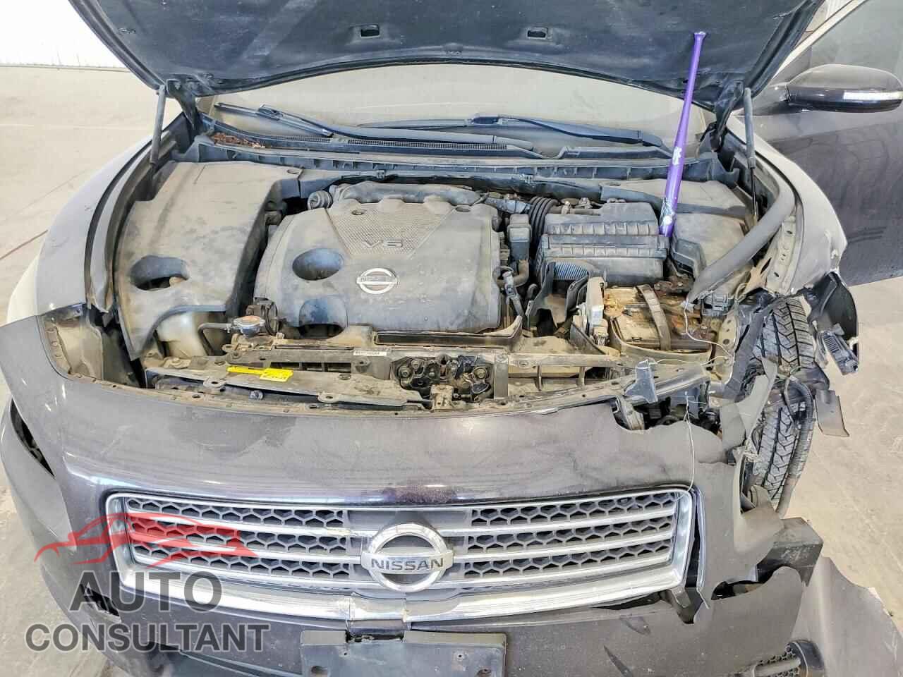 NISSAN MAXIMA 2011 - 1N4AA5AP9BC841073