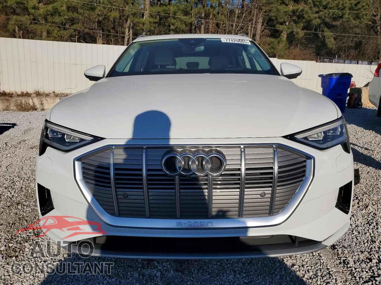 AUDI E-TRON 2019 - WA1VAAGE9KB022851