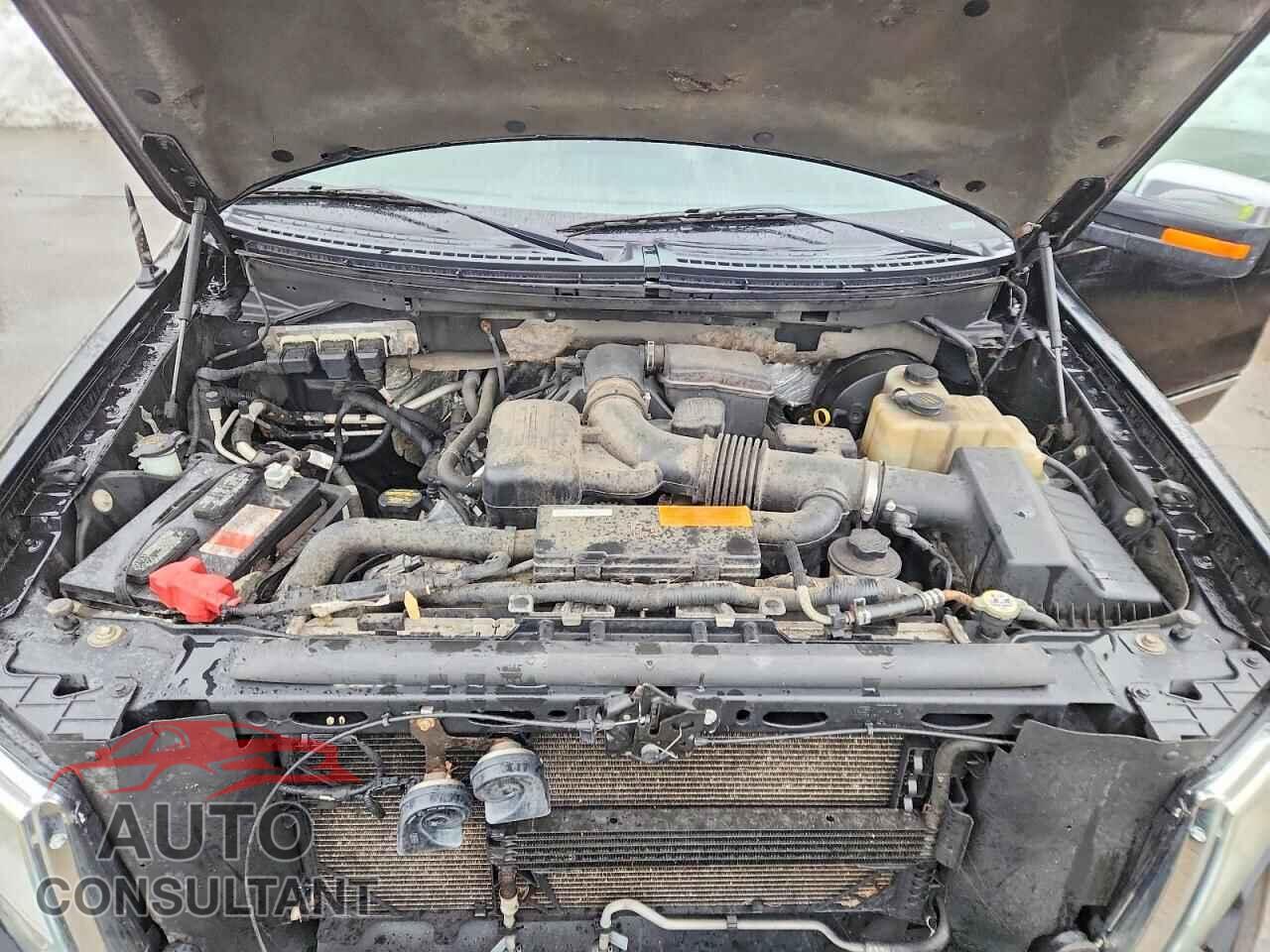 FORD UNKNOWN 2009 - 1FTPW14V29FB37749