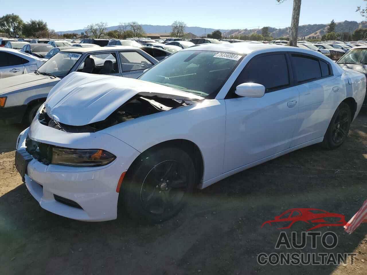 DODGE CHARGER 2019 - 2C3CDXBG2KH658295
