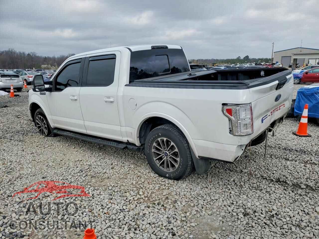 FORD F150 2019 - 1FTEW1E48KFC62368