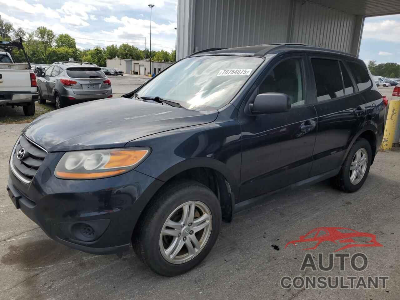 HYUNDAI SANTA FE 2010 - 5NMSGDAB6AH405678
