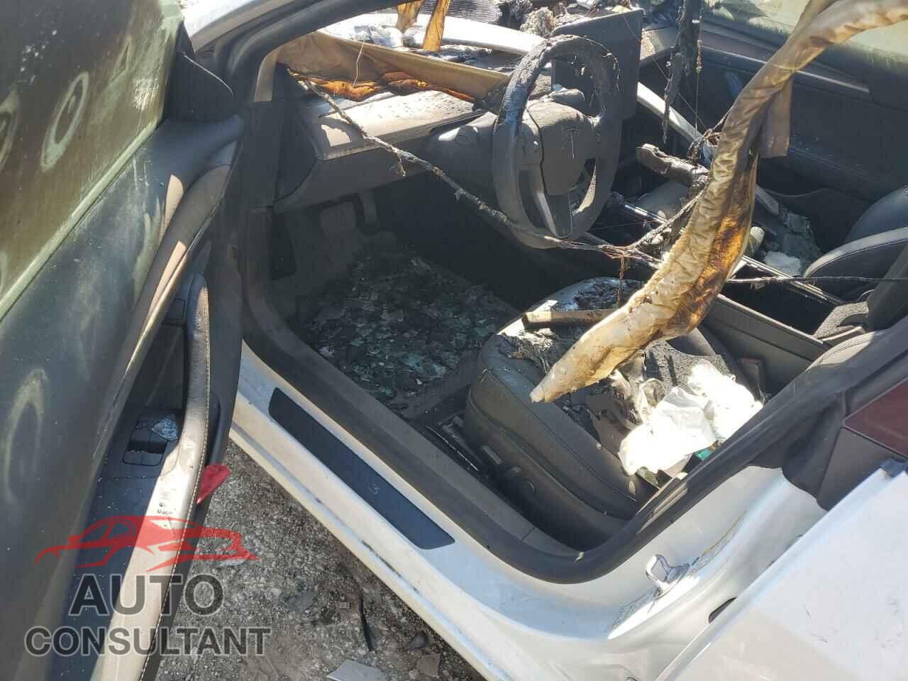 TESLA MODEL 3 2021 - 5YJ3E1EA5MF082580