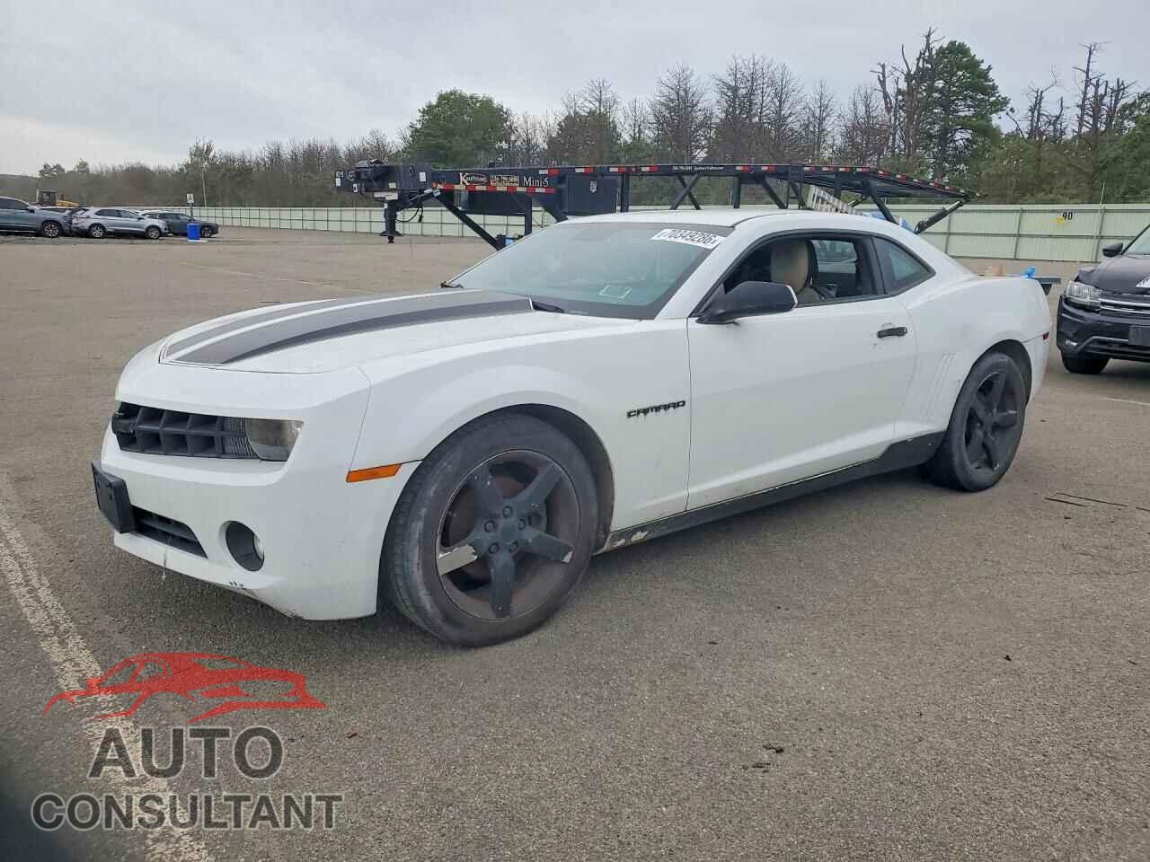 CHEVROLET CAMARO 2010 - 2G1FC1EV5A9175372
