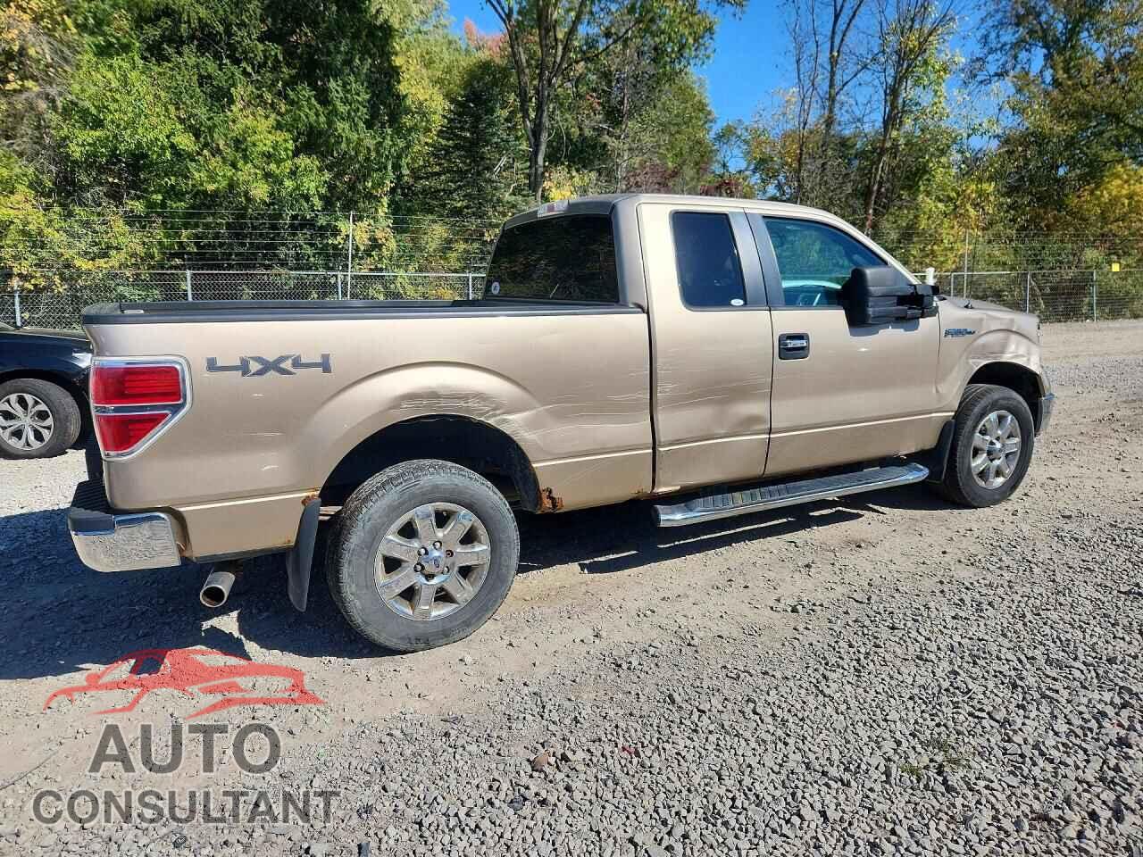 FORD F150 2013 - 1FTFX1EF9DFC78066