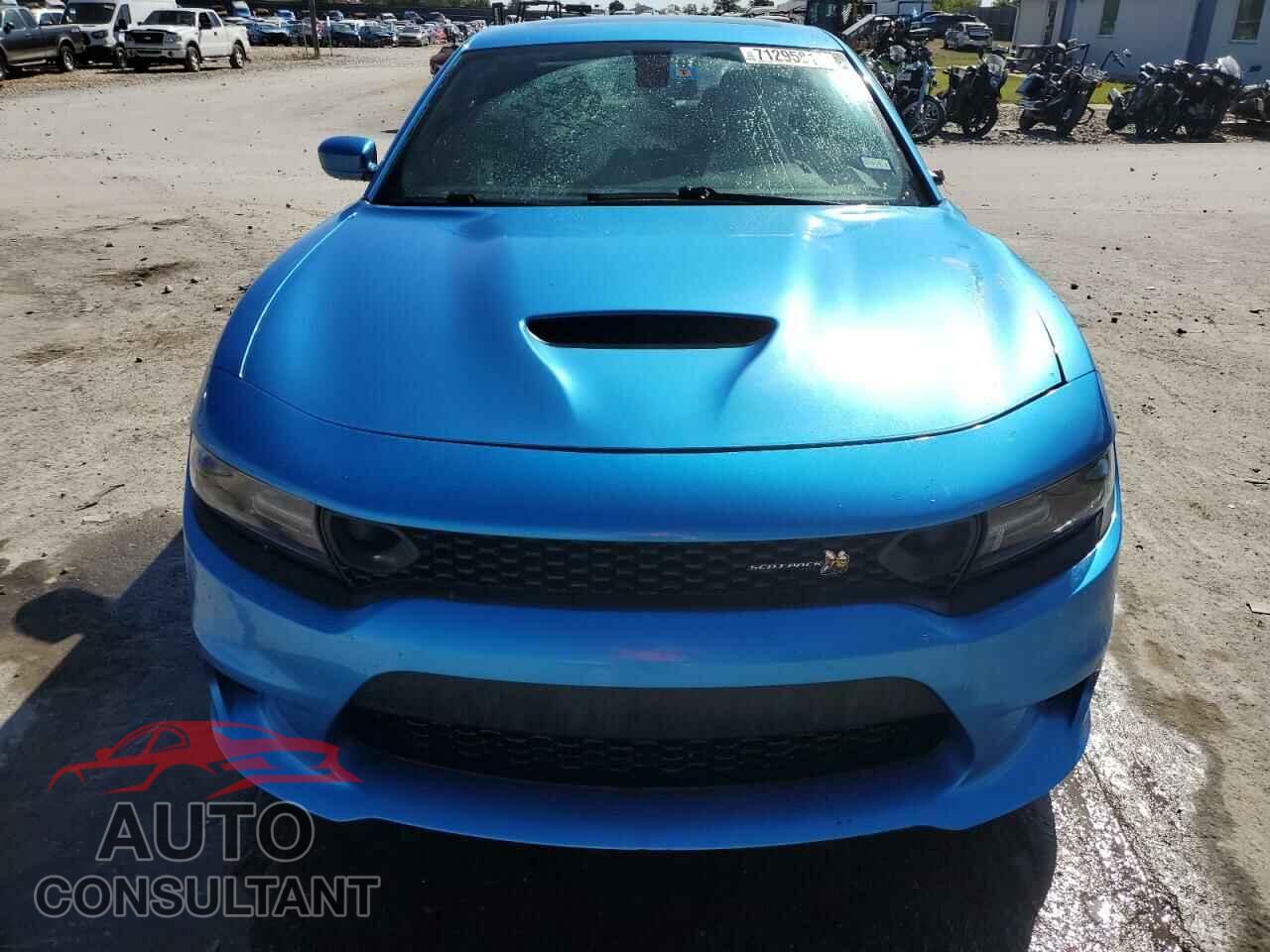 DODGE CHARGER 2019 - 2C3CDXGJ8KH617318