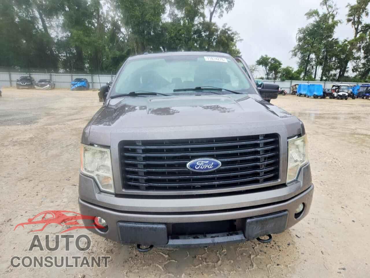 FORD F150 2014 - 1FTFX1EF2EFB75248
