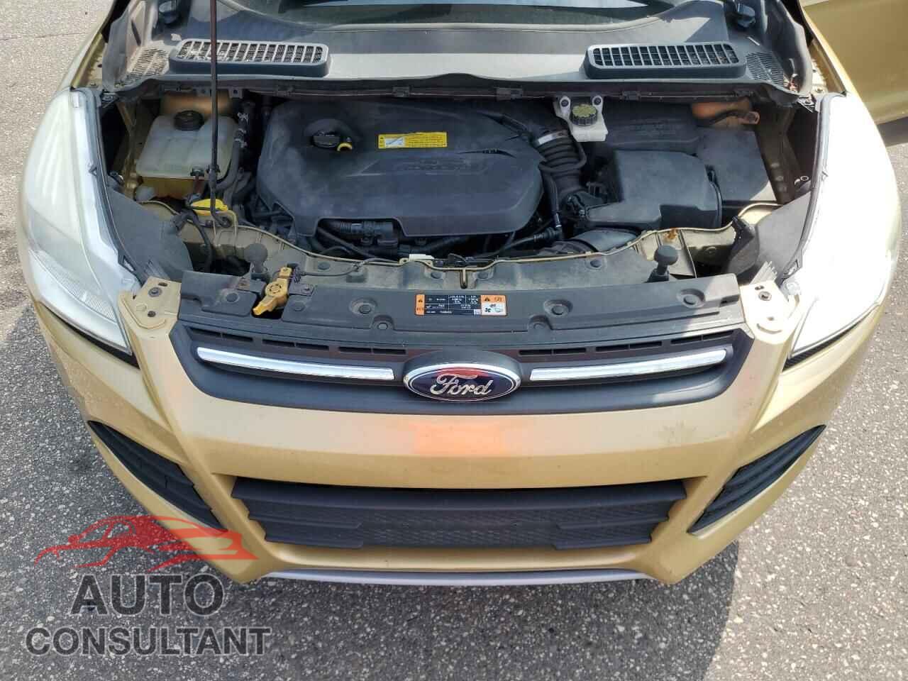 FORD ESCAPE 2014 - 1FMCU9GX0EUC06004