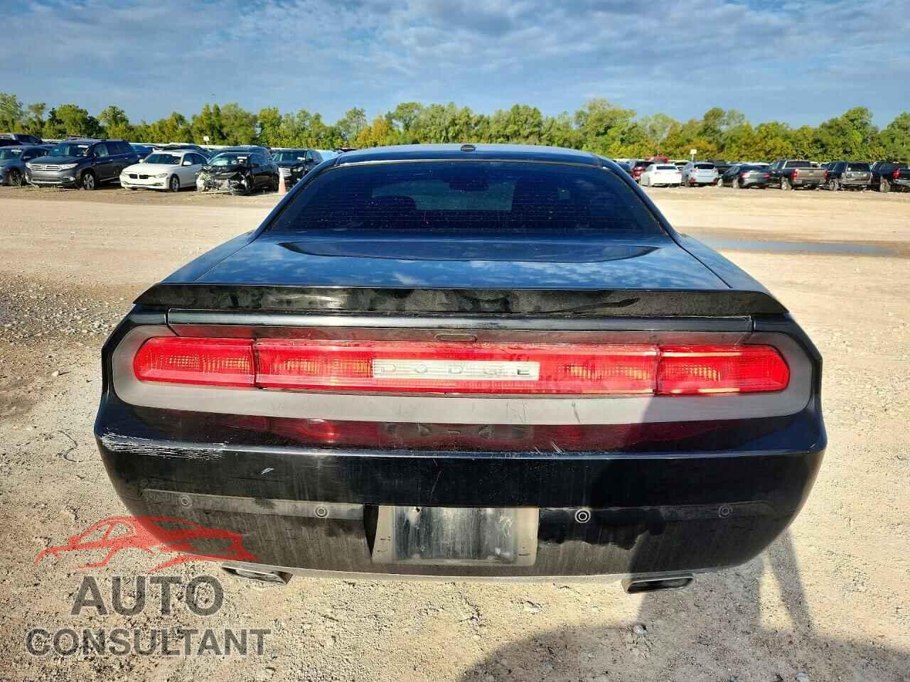 DODGE CHALLENGER 2013 - 2C3CDYAG7DH612245