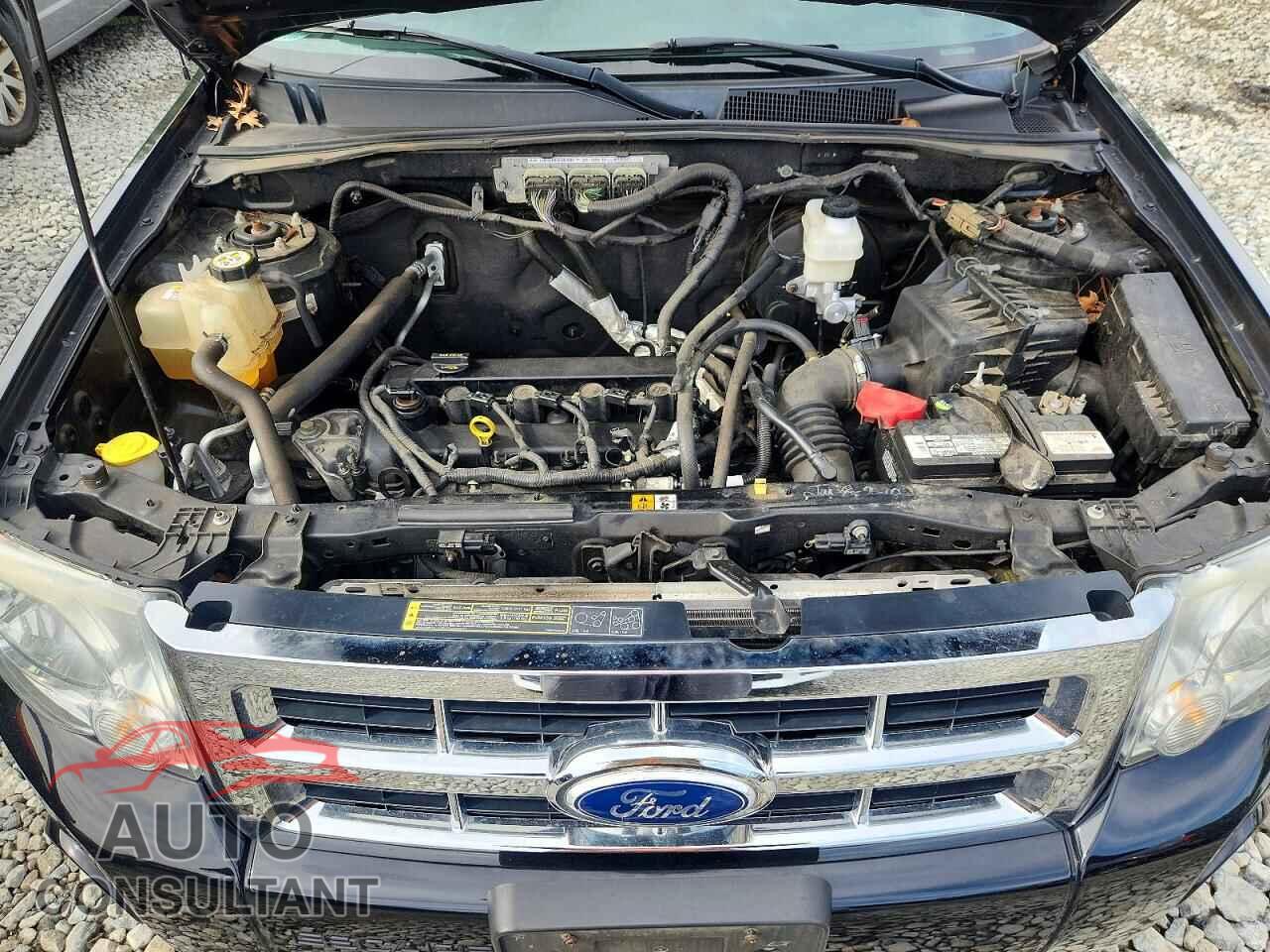 FORD ESCAPE 2010 - 1FMCU0D71AKD36234