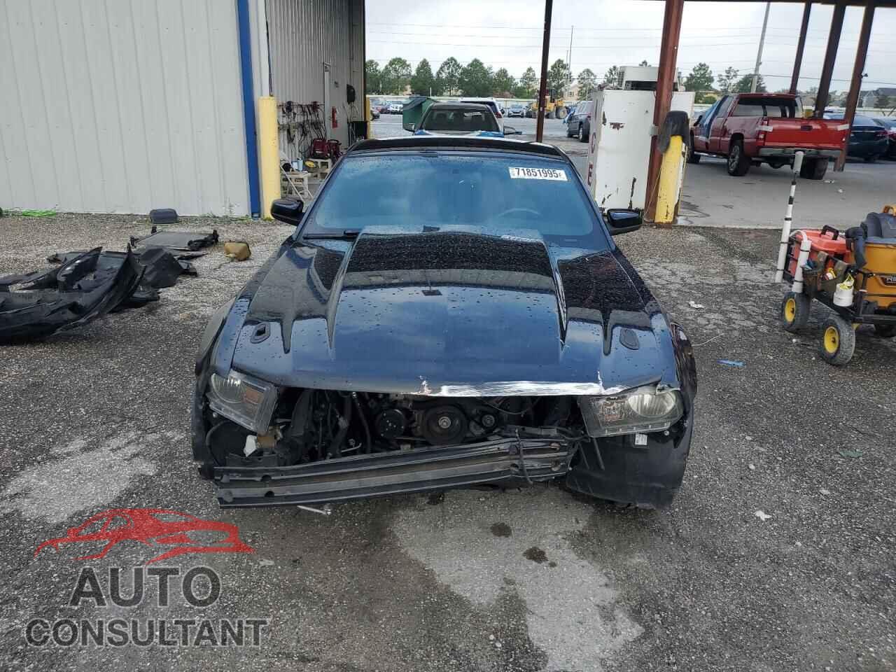FORD MUSTANG 2012 - 1ZVBP8CF9C5238579