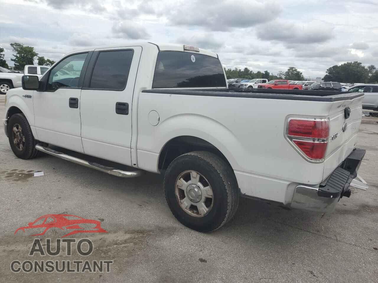 FORD F-150 2011 - 1FTFW1CF3BFC14558