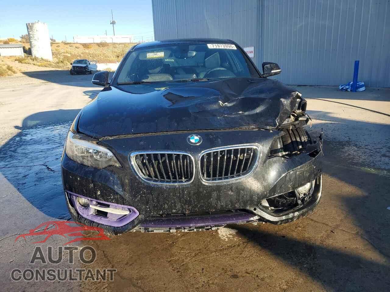 BMW 2 SERIES 2014 - WBA1F5C59EV255650