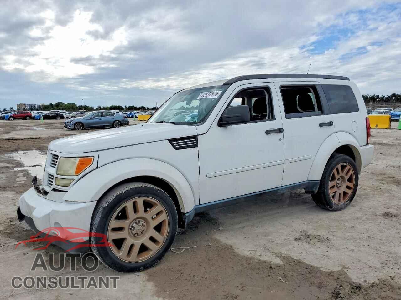 DODGE NITRO 2011 - 1D4PT4GK4BW541785