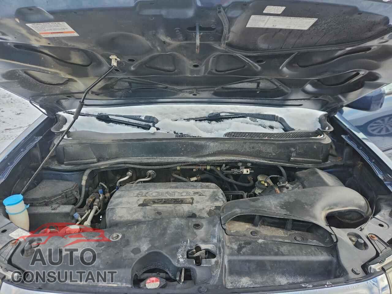 HONDA PILOT 2009 - 5FNYF48559B047113