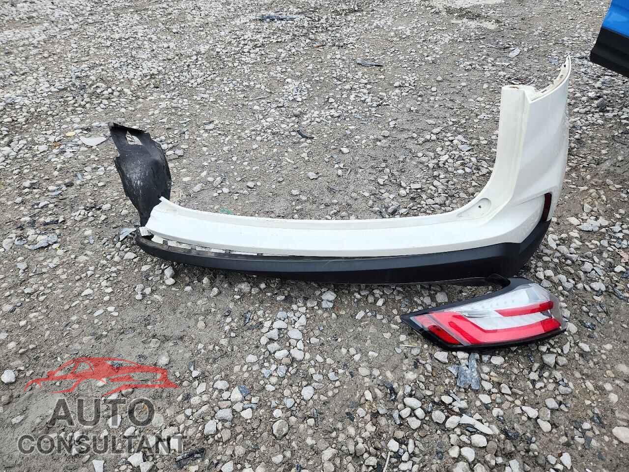 FORD EDGE 2020 - 2FMPK3K91LBA04496