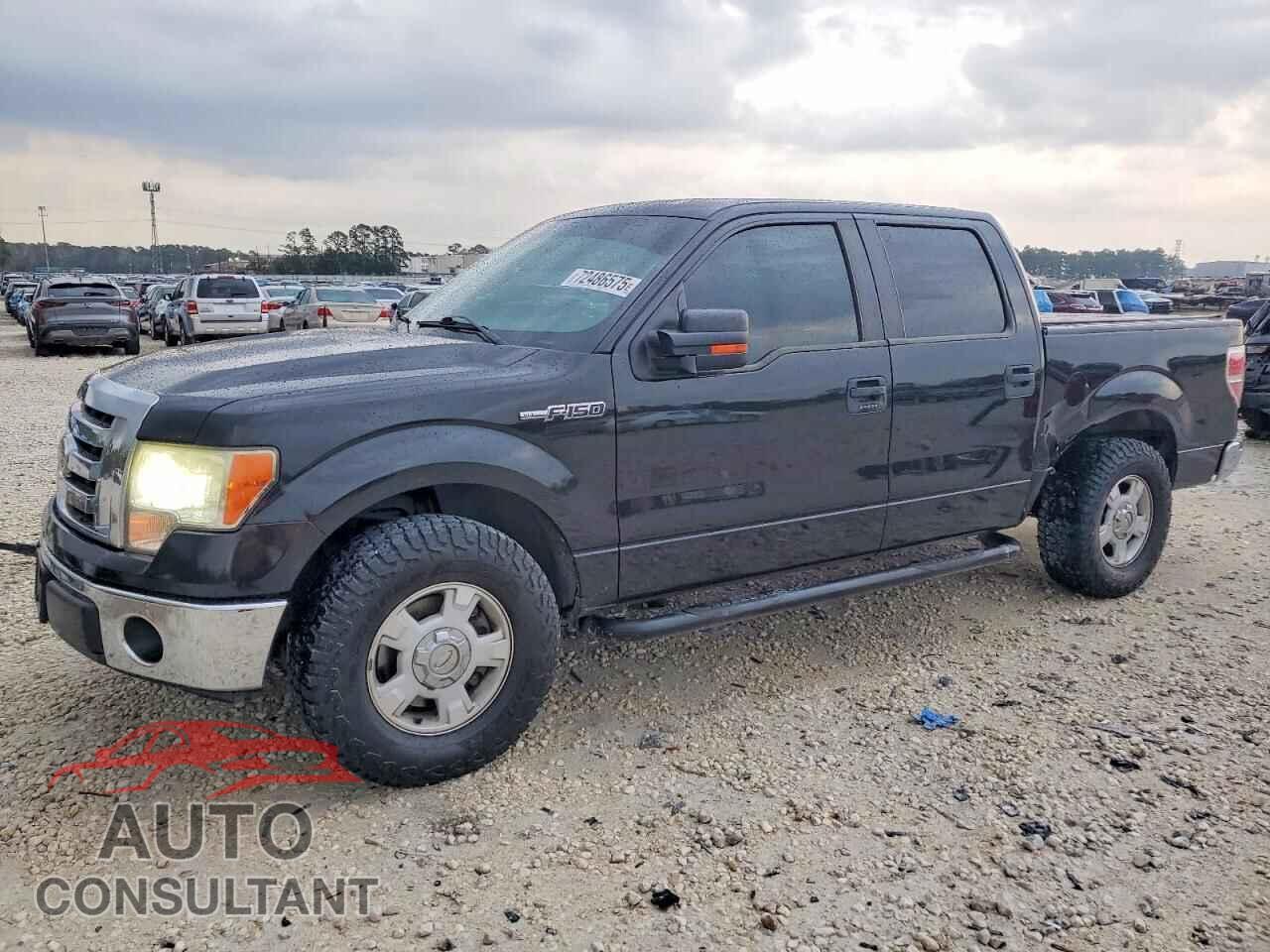 FORD F-150 2012 - 1FTEW1CM8CFA13072
