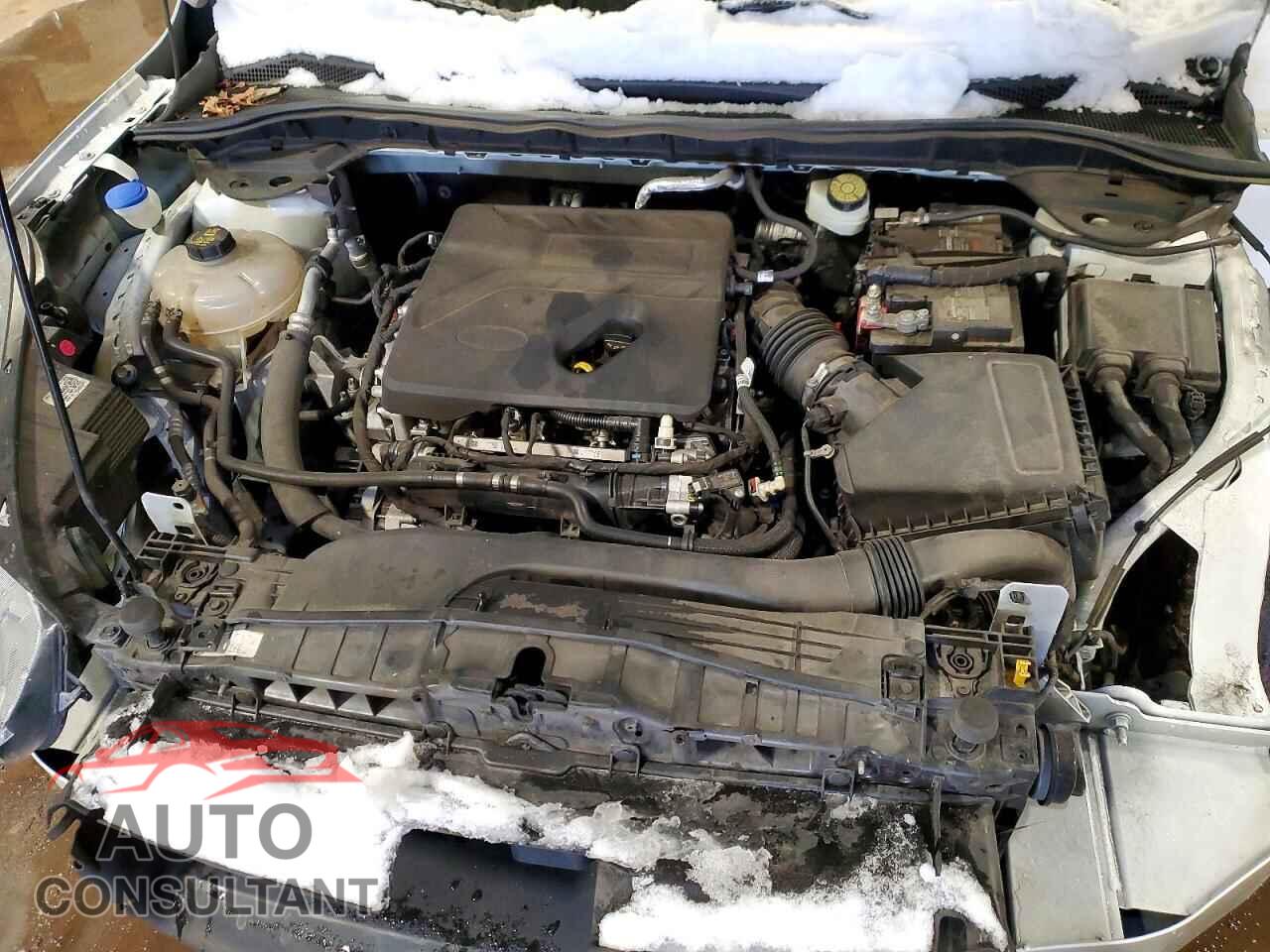 FORD ESCAPE 2020 - 1FMCU0G61LUA22139