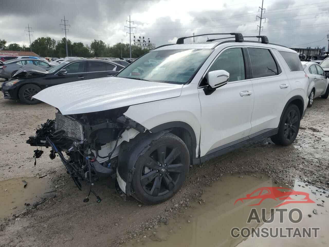 HYUNDAI PALISADE X 2024 - KM8R3DGE0RU727101