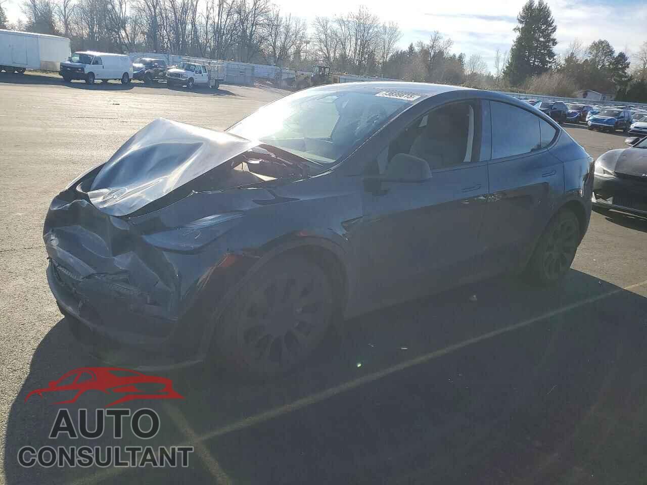 TESLA MODEL Y 2022 - 7SAYGDEE6NF544038