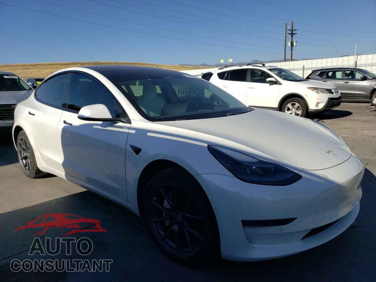 TESLA MODEL 3 2021 - 5YJ3E1EBXMF013344