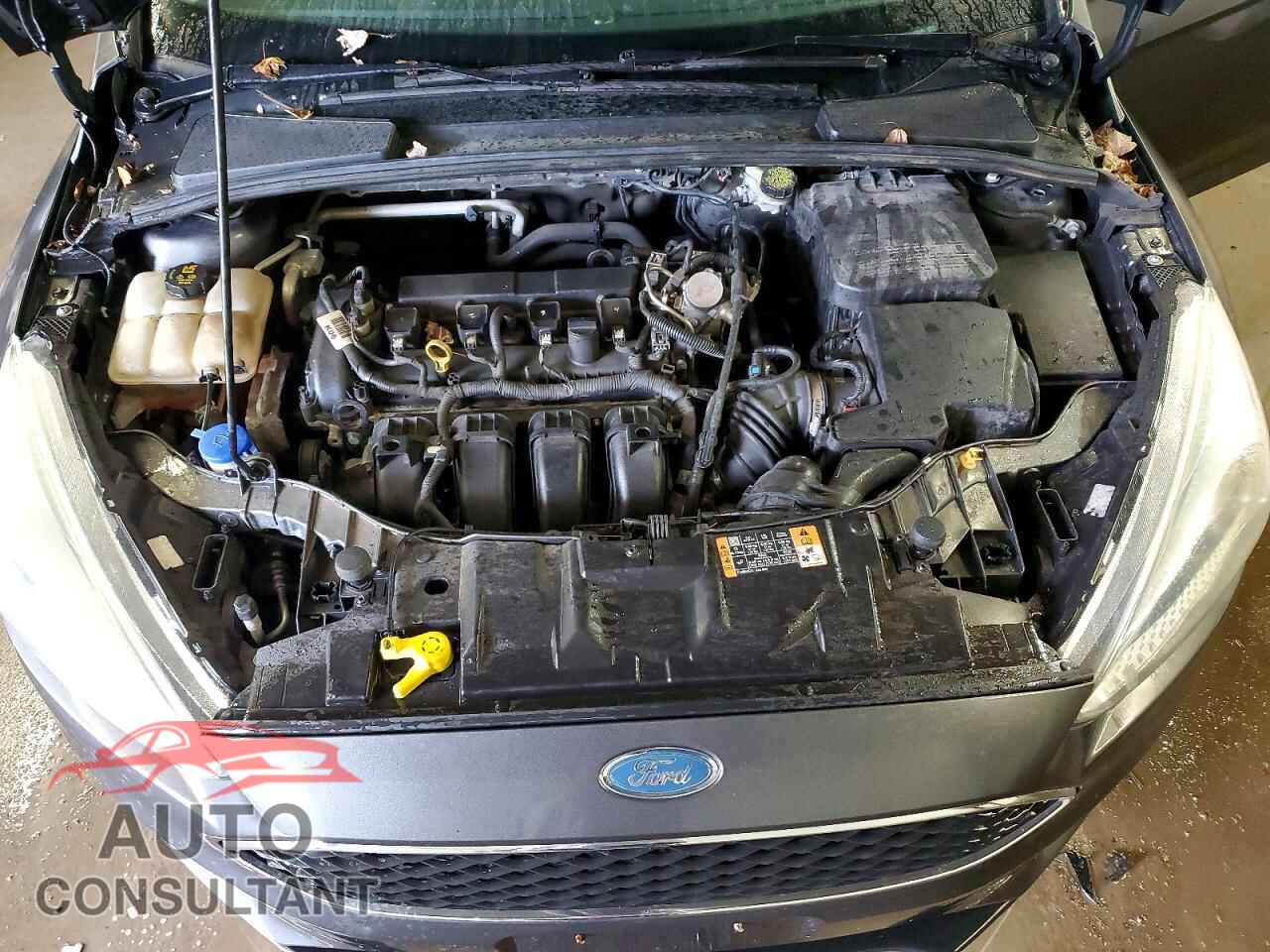 FORD FOCUS 2016 - 1FADP3F29GL370143