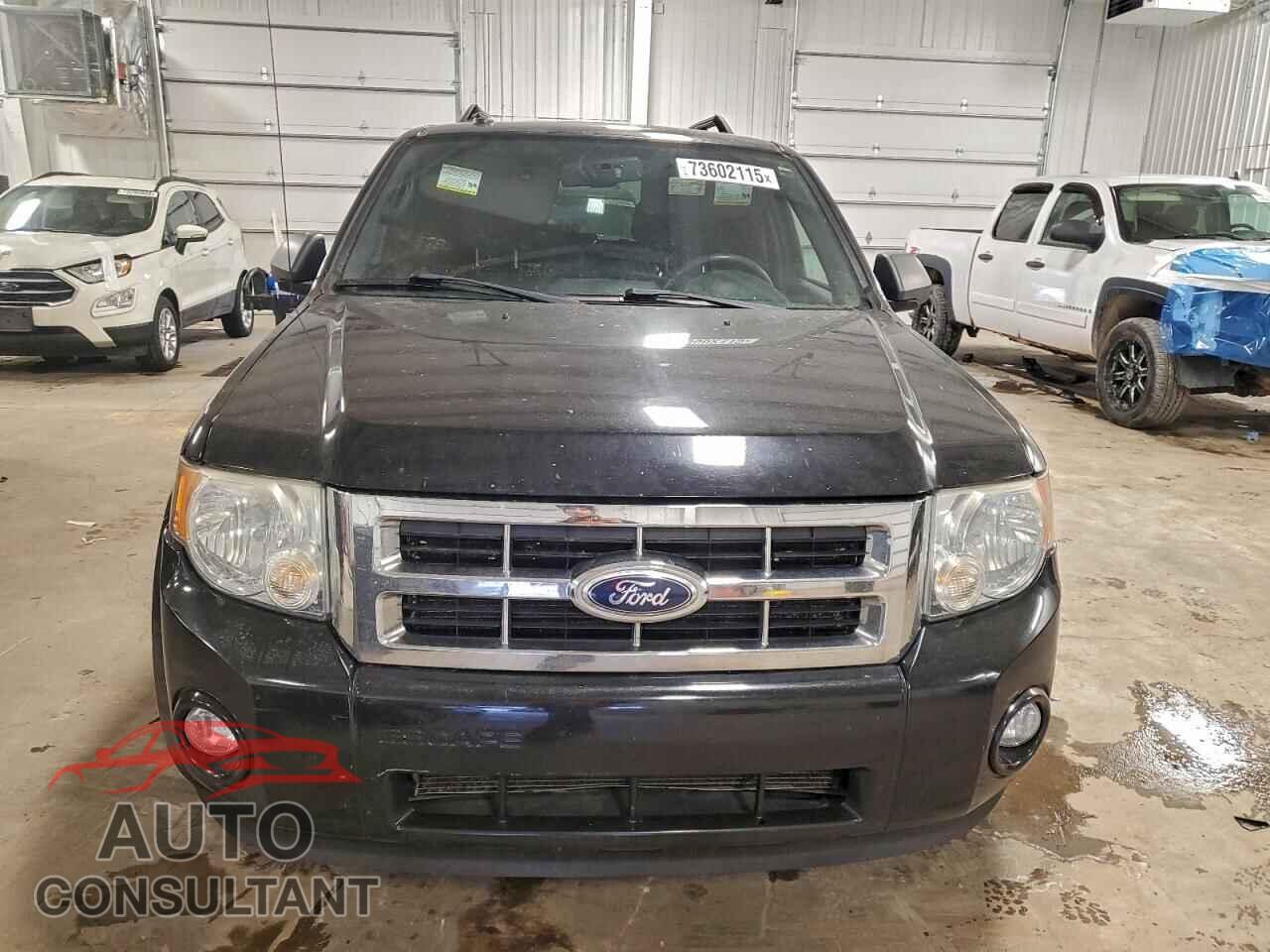 FORD ESCAPE 2010 - 1FMCU9D73AKC30520