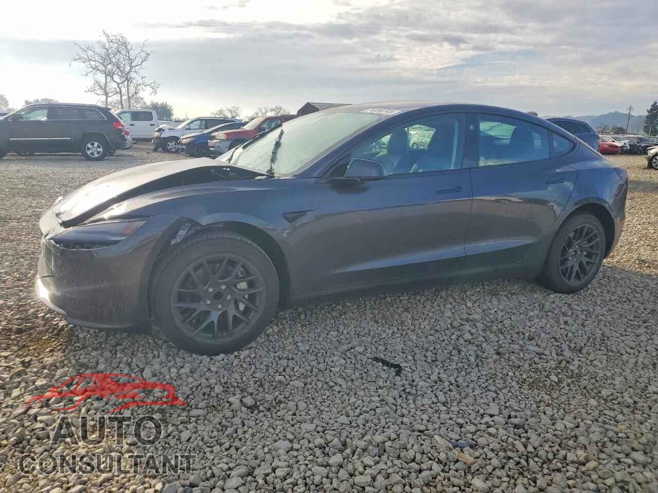 TESLA MODEL 3 2025 - 5YJ3E1EA7SF011863