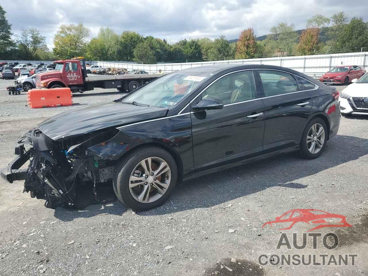 HYUNDAI SONATA 2019 - 5NPE34AF4KH761546