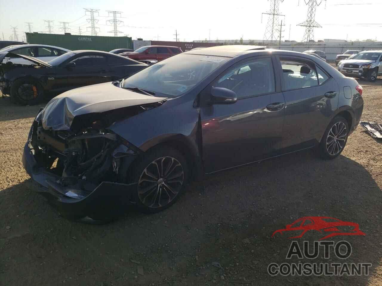 TOYOTA COROLLA 2016 - 2T1BURHE7GC604162