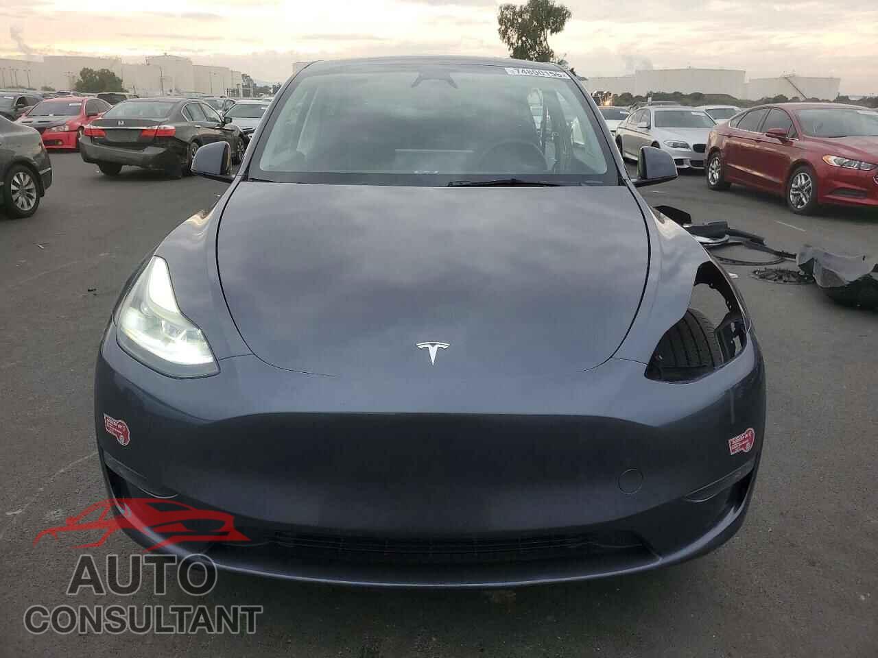 TESLA MODEL Y 2023 - 7SAYGDEE6PF886768
