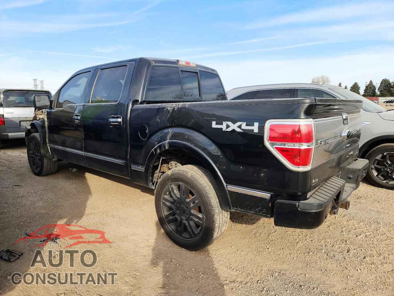 FORD F150 2011 - 1FTFW1EF1BFA83692