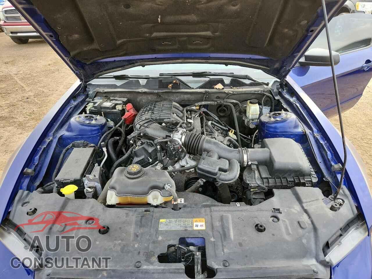 FORD MUSTANG 2013 - 1ZVBP8AM6D5258923