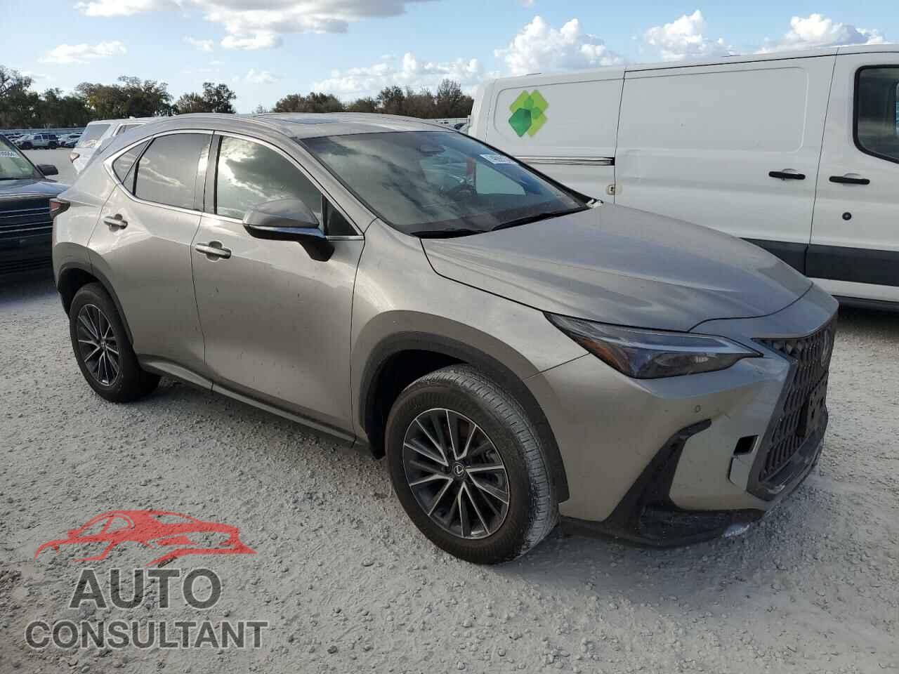 LEXUS NX 250 PRE 2024 - 2T2GDCAZ9RC013295