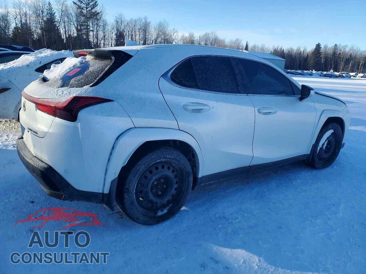 LEXUS UX 300H BA 2025 - JTHUCJDH0S2008636