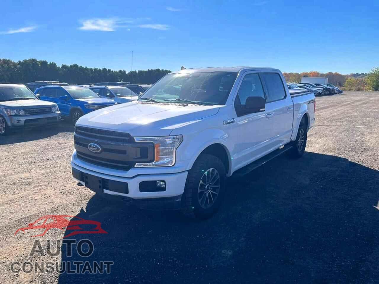 FORD F150 2020 - 1FTEW1E50LFB12006