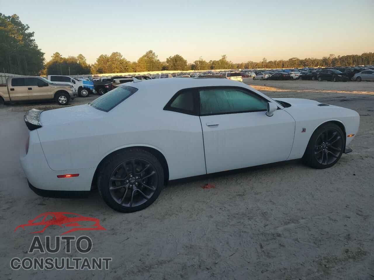 DODGE CHALLENGER 2023 - 2C3CDZFJ2PH681908