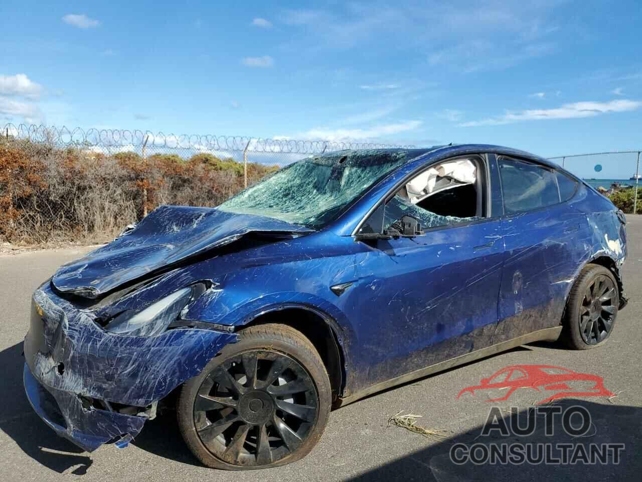 TESLA MODEL Y 2021 - 5YJYGDEE0MF082944