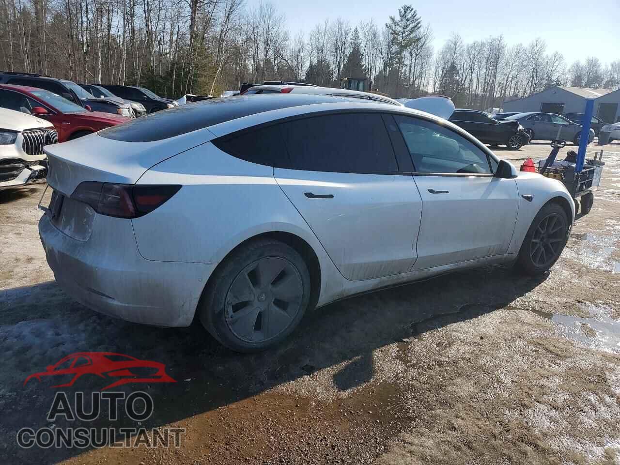 TESLA MODEL 3 2022 - 5YJ3E1EA1NF151556