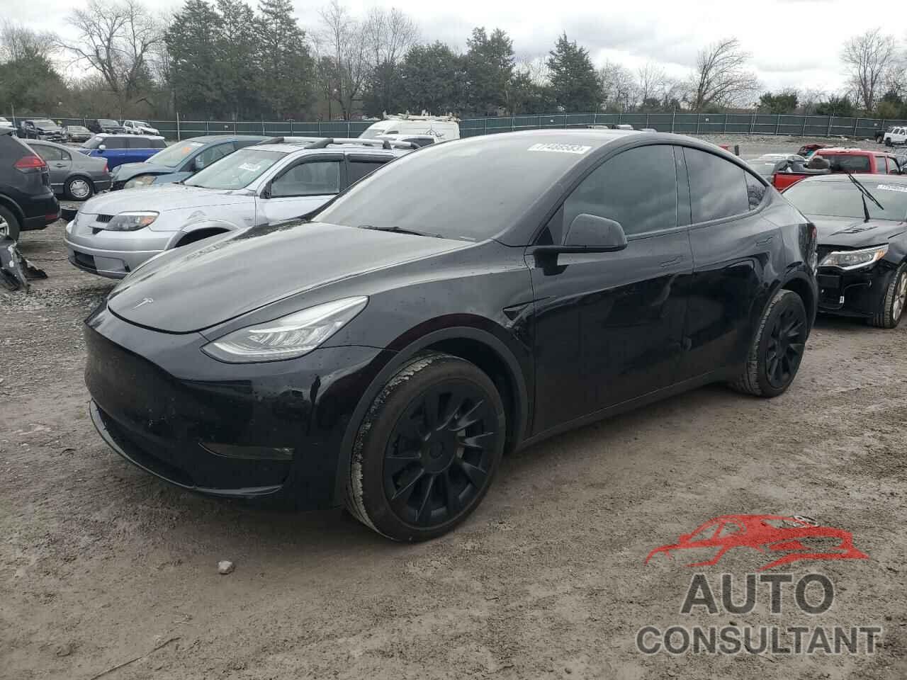 TESLA MODEL Y 2022 - 7SAYGDEE5NF354859