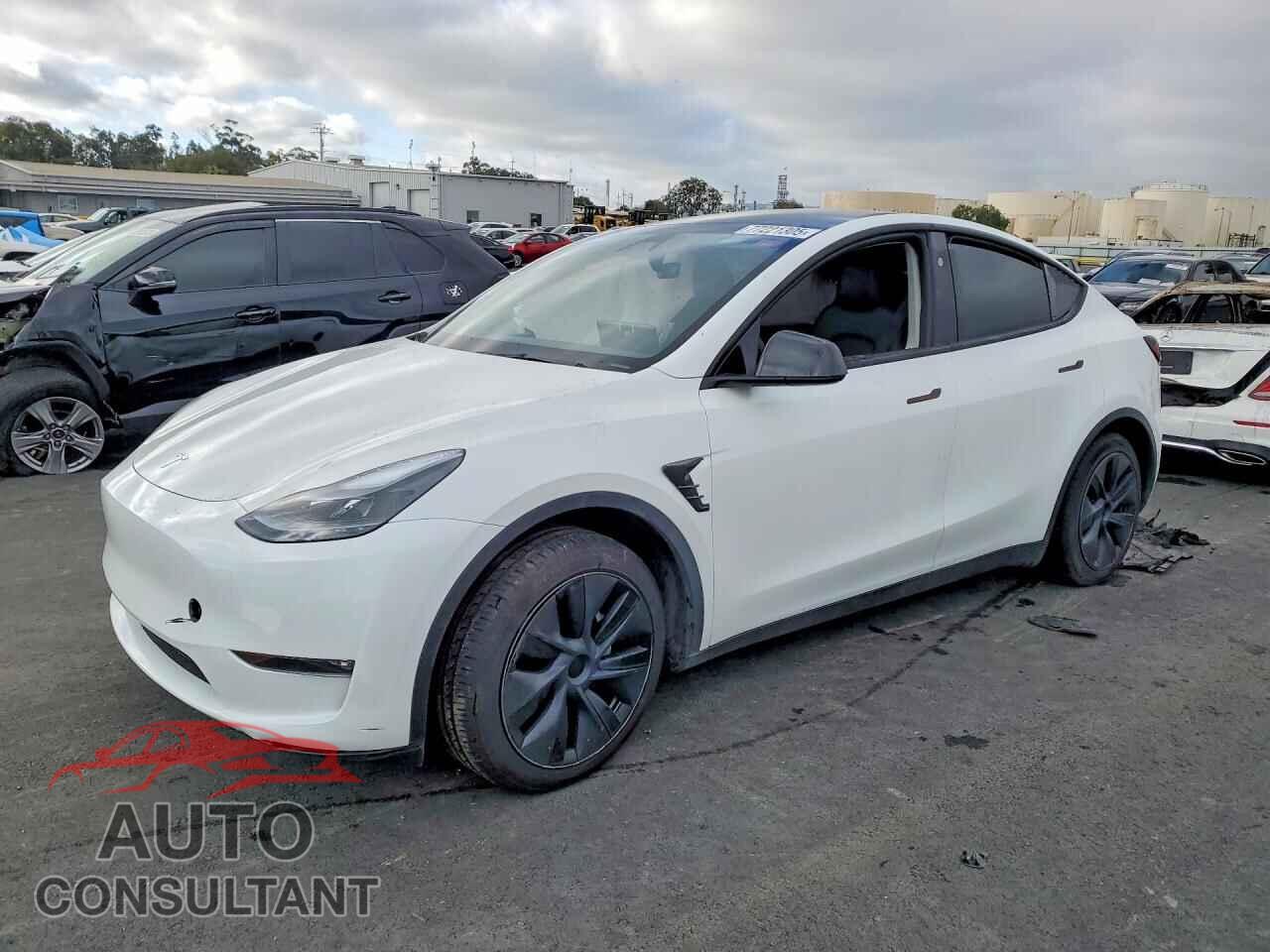 TESLA MODEL Y 2024 - 7SAYGAEE3RF208111