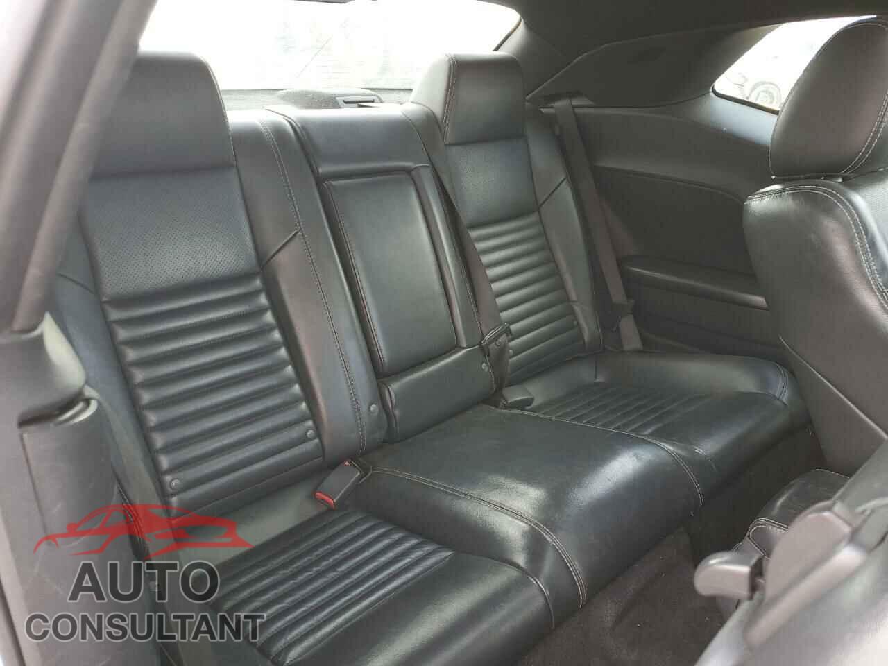 DODGE CHALLENGER 2010 - 2B3CJ4DVXAH321534