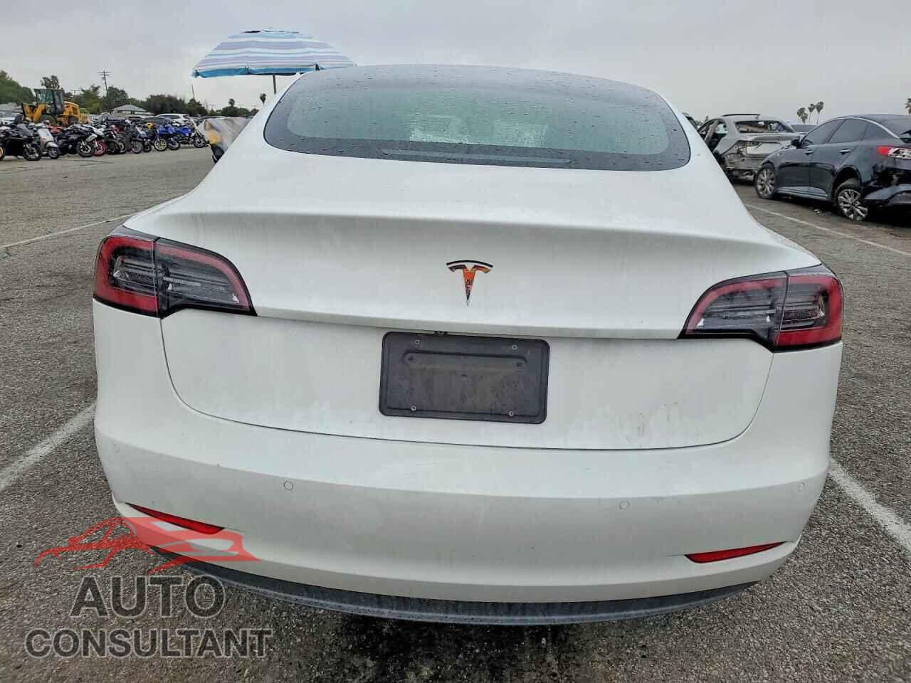 TESLA MODEL 3 2019 - 5YJ3E1EA0KF310577