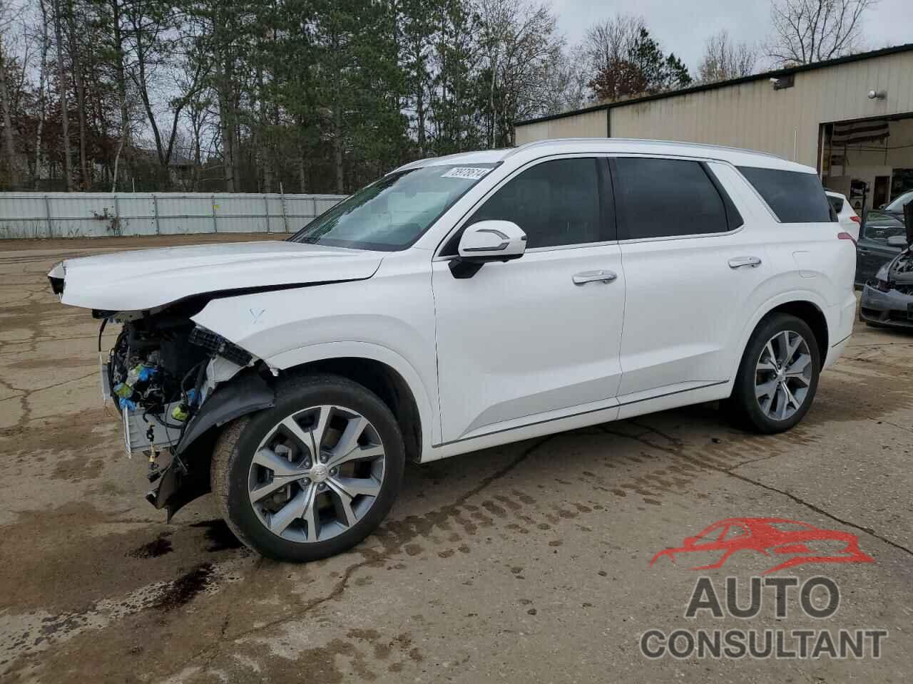 HYUNDAI PALISADE 2021 - KM8R5DHE8MU205009