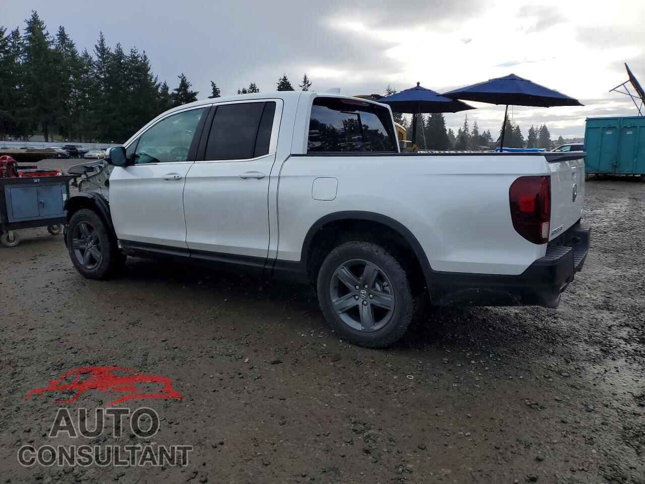 HONDA RIDGELINE 2023 - 5FPYK3F56PB020239