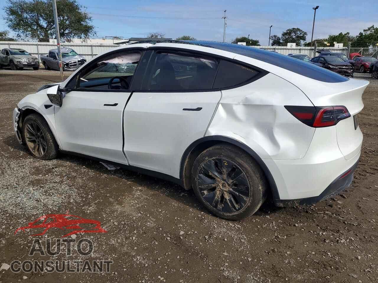 TESLA MODEL Y 2024 - 7SAYGDEE8RF153379